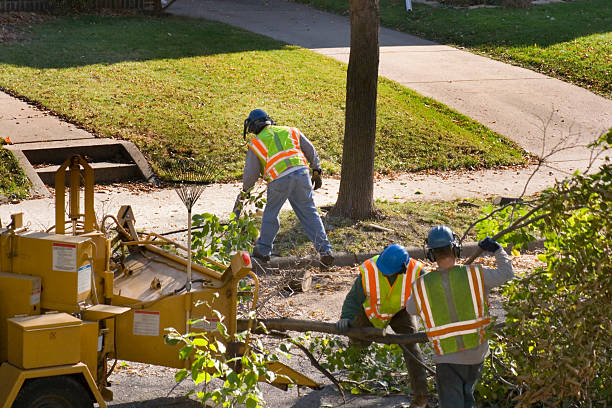 Best Lawn Maintenance Plans  in Ada, OK